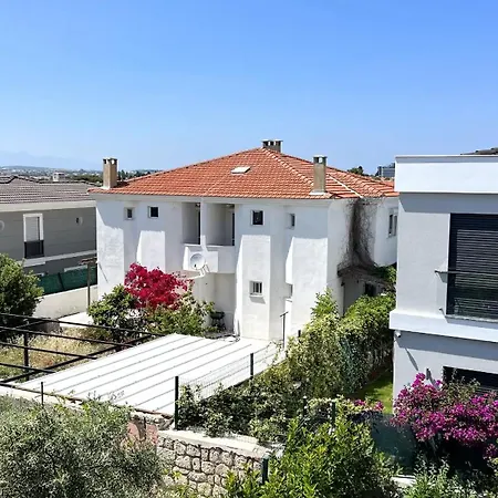 The Aesthetic Aegean