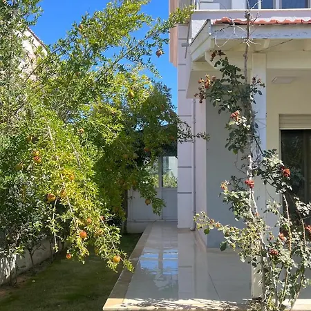 The Aesthetic Aegean Villa Çeşme